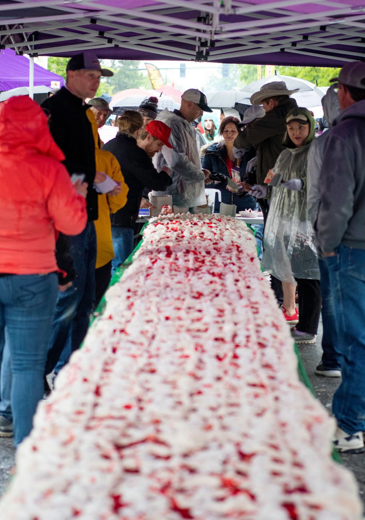 Strawberry Festival in the rain